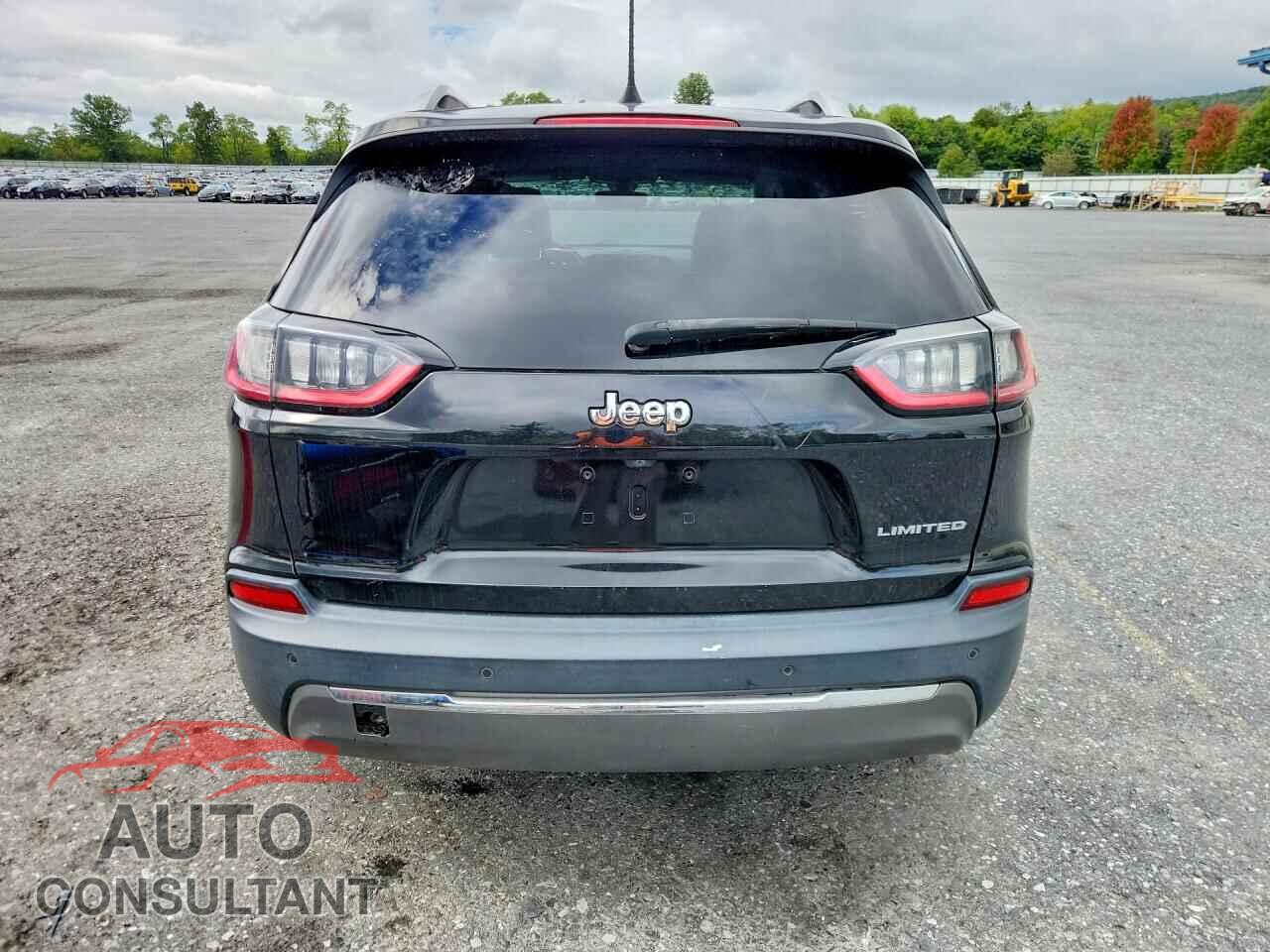 JEEP CHEROKEE 2019 - 1C4PJLDB2KD302572