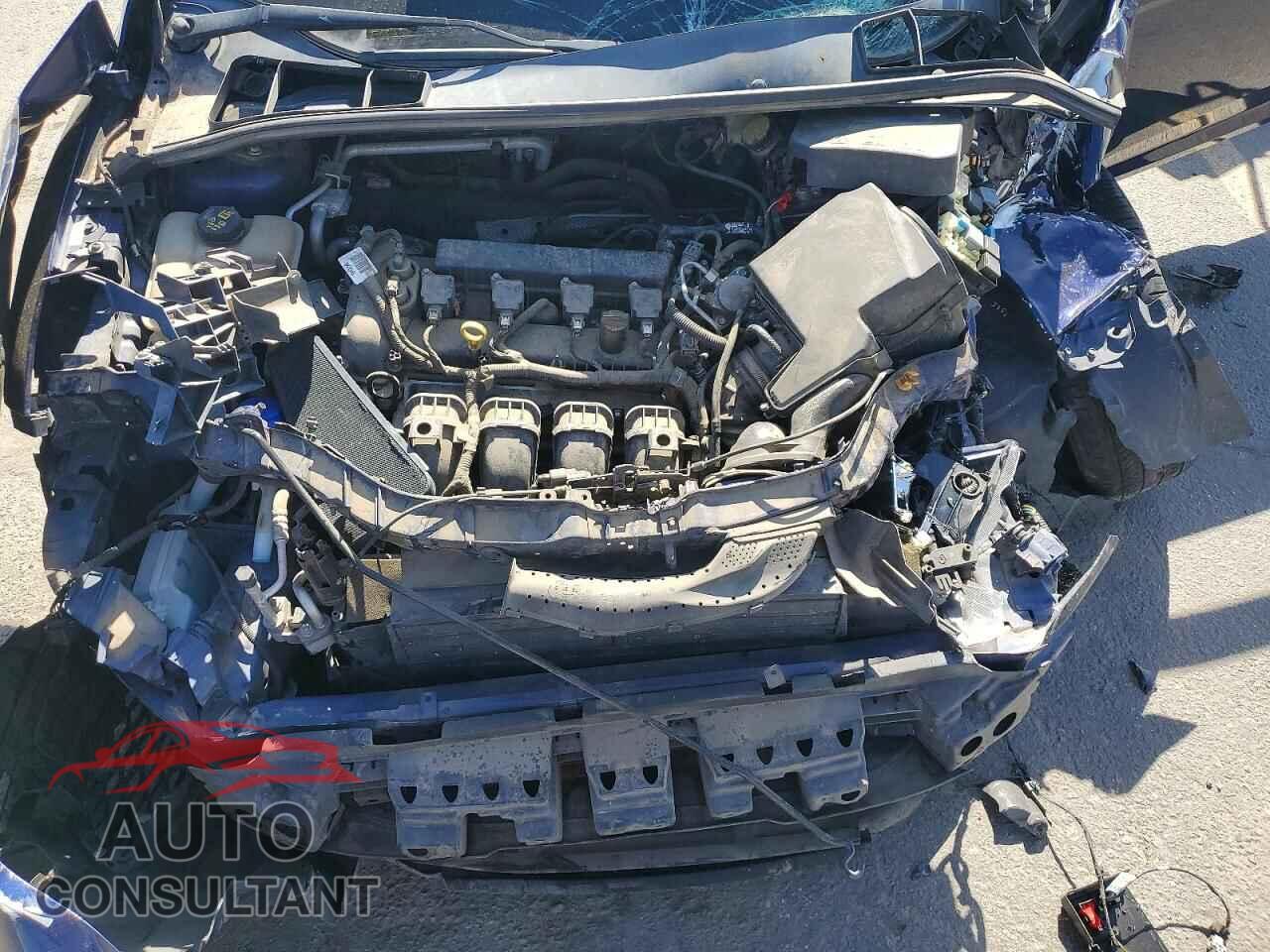 FORD FOCUS 2016 - 1FADP3K26GL391618