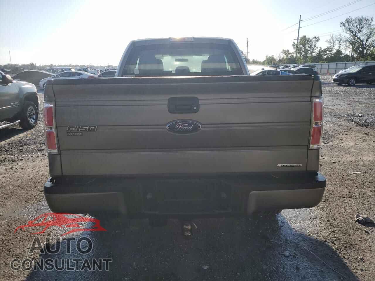 FORD F-150 2013 - 1FTFX1EF4DFD53241