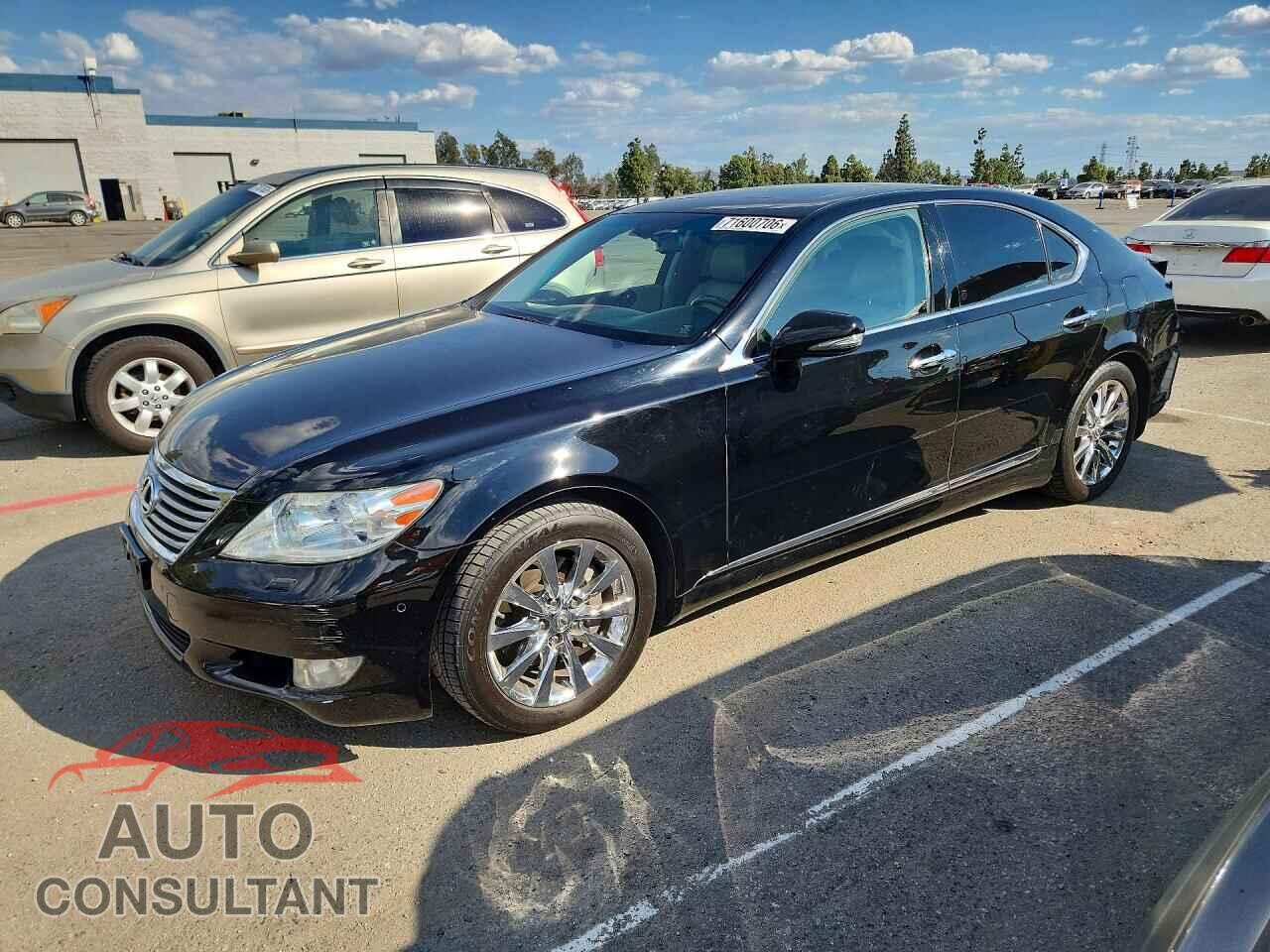 LEXUS LS460 2010 - JTHBL1EF6A5094908