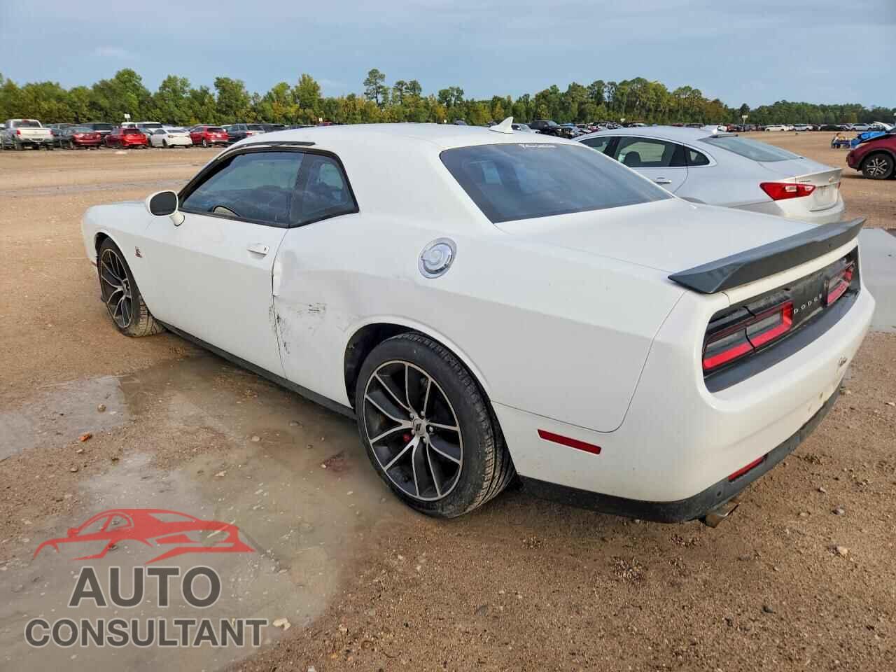DODGE CHALLENGER 2018 - 2C3CDZFJ6JH131408