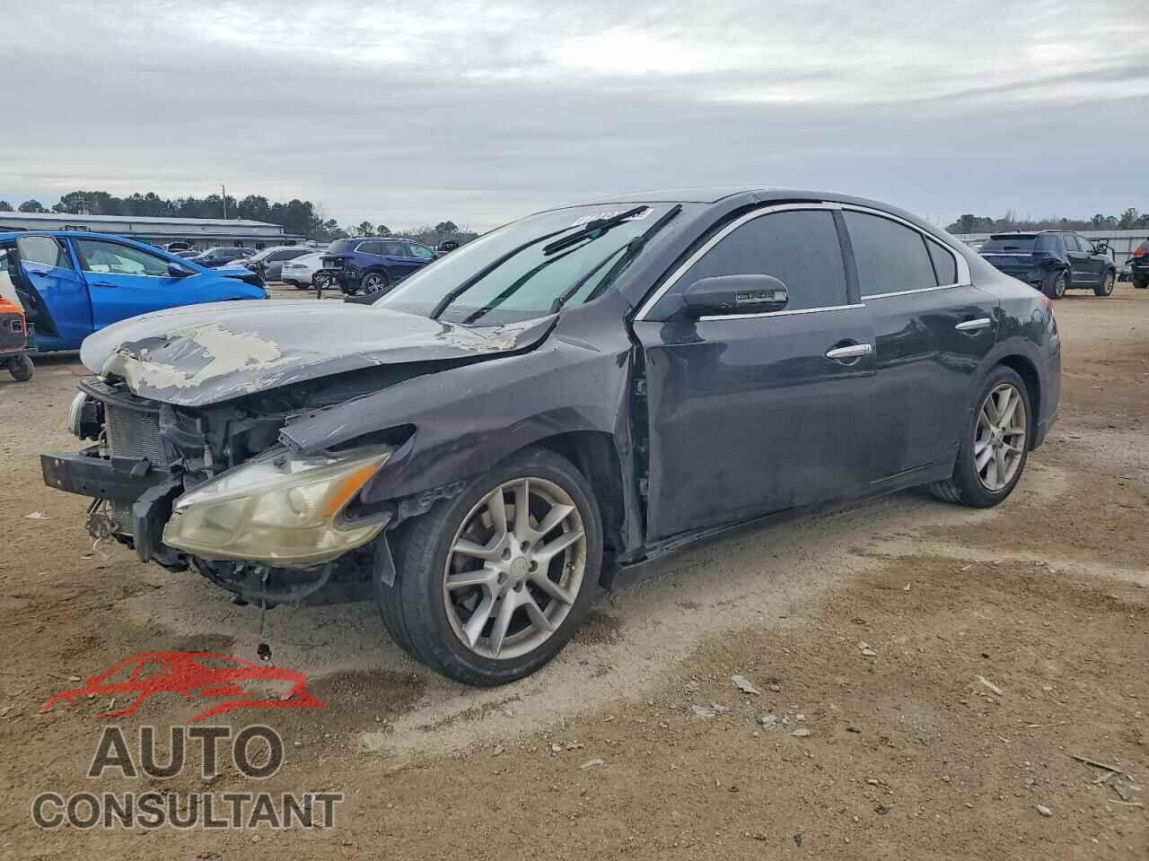 NISSAN MAXIMA 2010 - 1N4AA5AP6AC832426