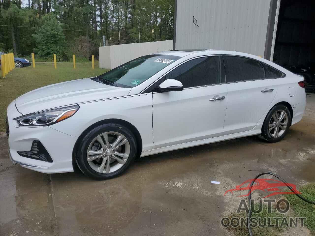 HYUNDAI SONATA 2018 - 5NPE34AF8JH642123