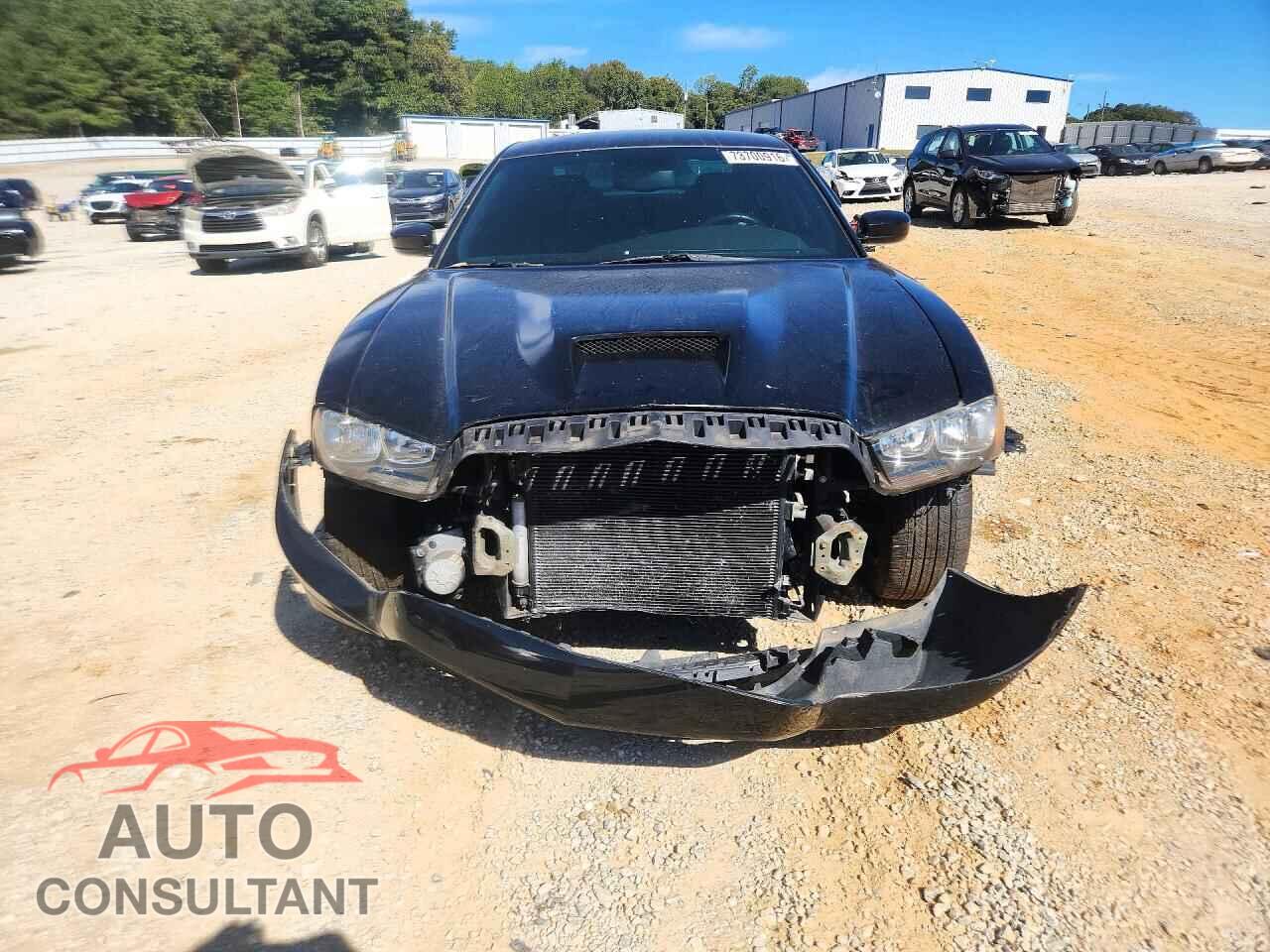 DODGE CHARGER 2013 - 2C3CDXHG5DH552675