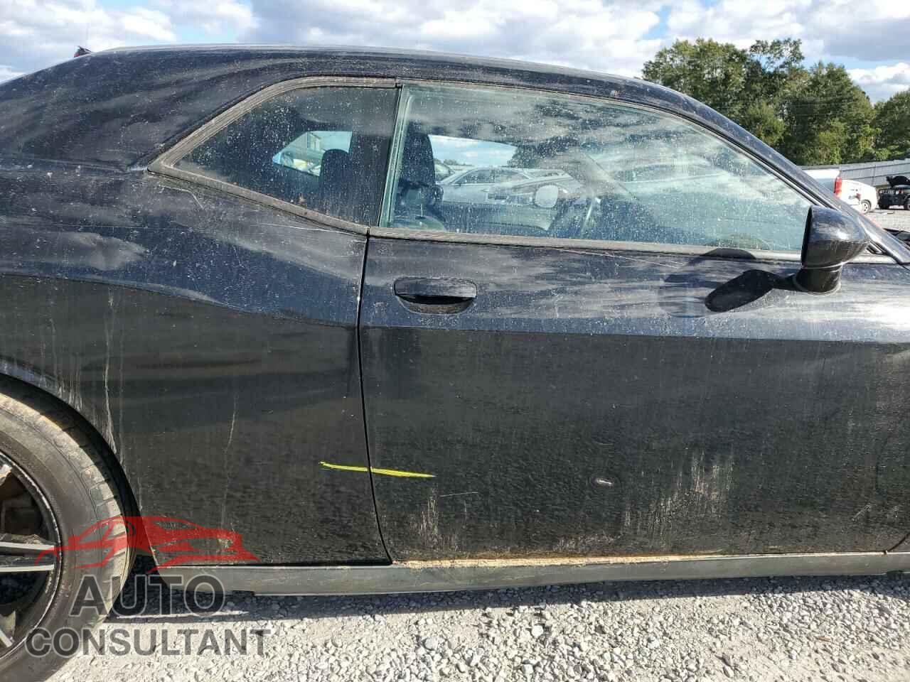 DODGE CHALLENGER 2013 - 2C3CDYAG3DH511607