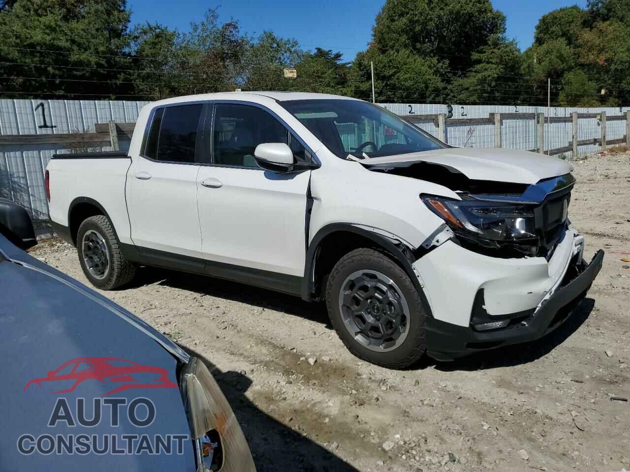 HONDA RIDGELINE 2024 - 5FPYK3F56RB016887