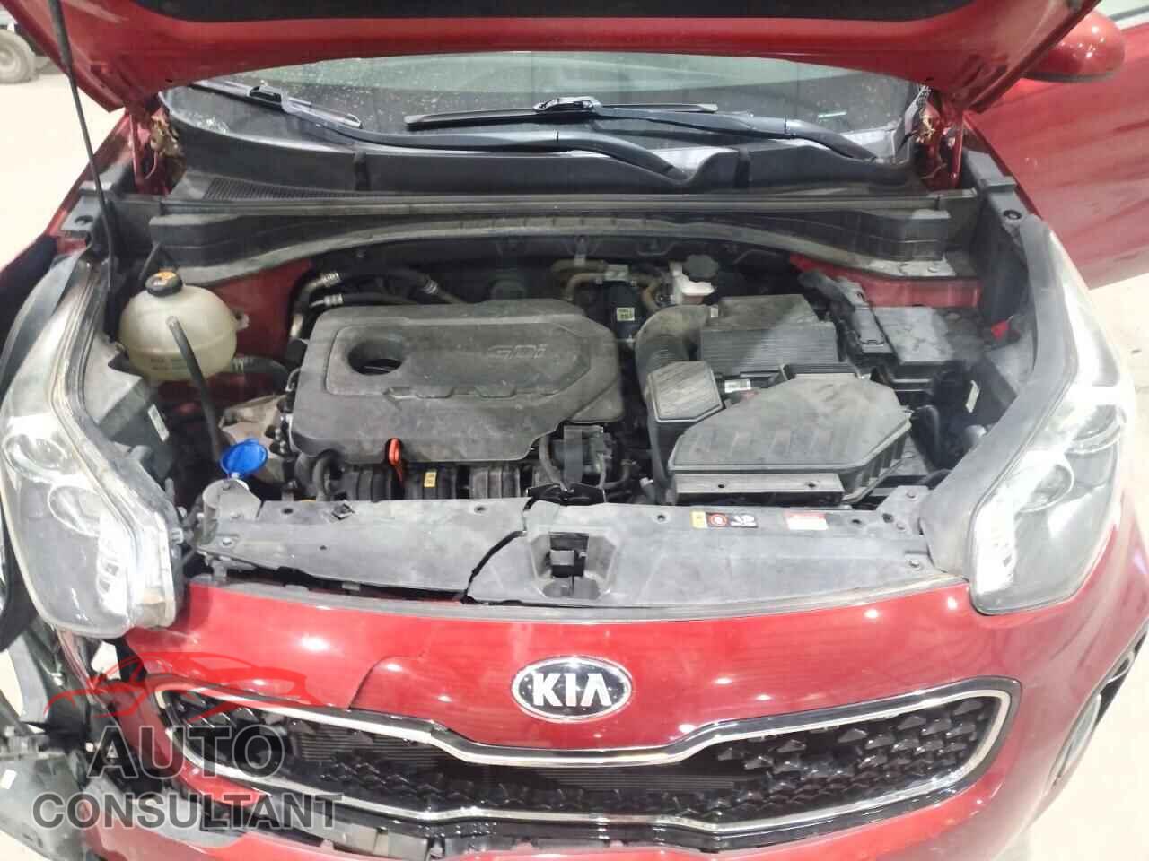 KIA SPORTAGE 2019 - KNDPMCAC6K7557695