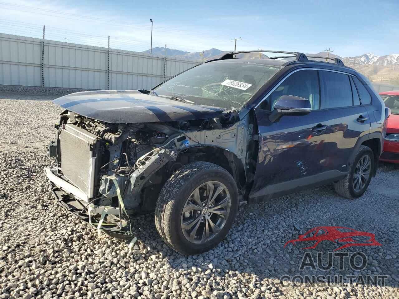 TOYOTA RAV4 2024 - JTMB6RFV5RJ044775