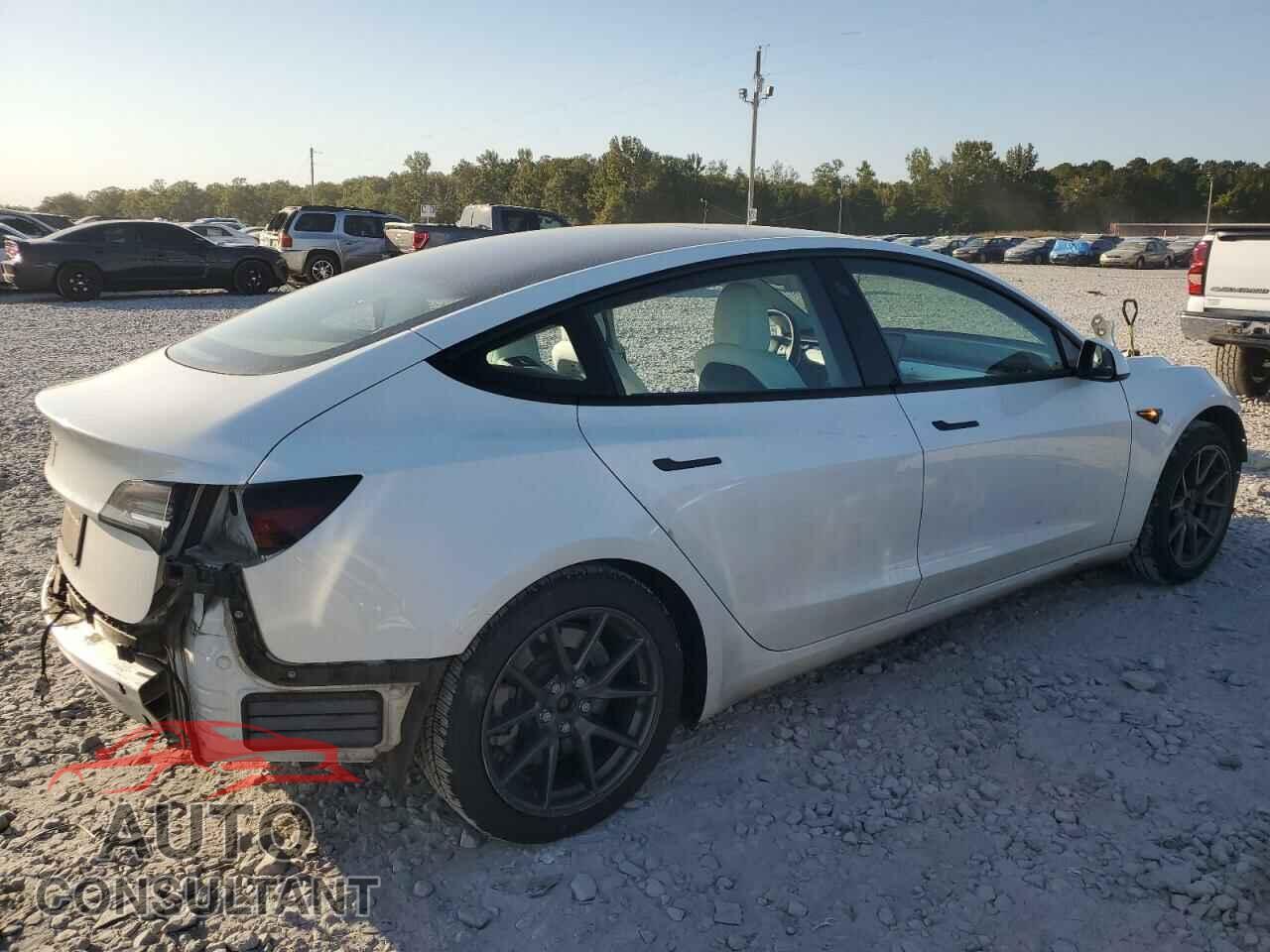 TESLA MODEL 3 2021 - 5YJ3E1EA9MF987467