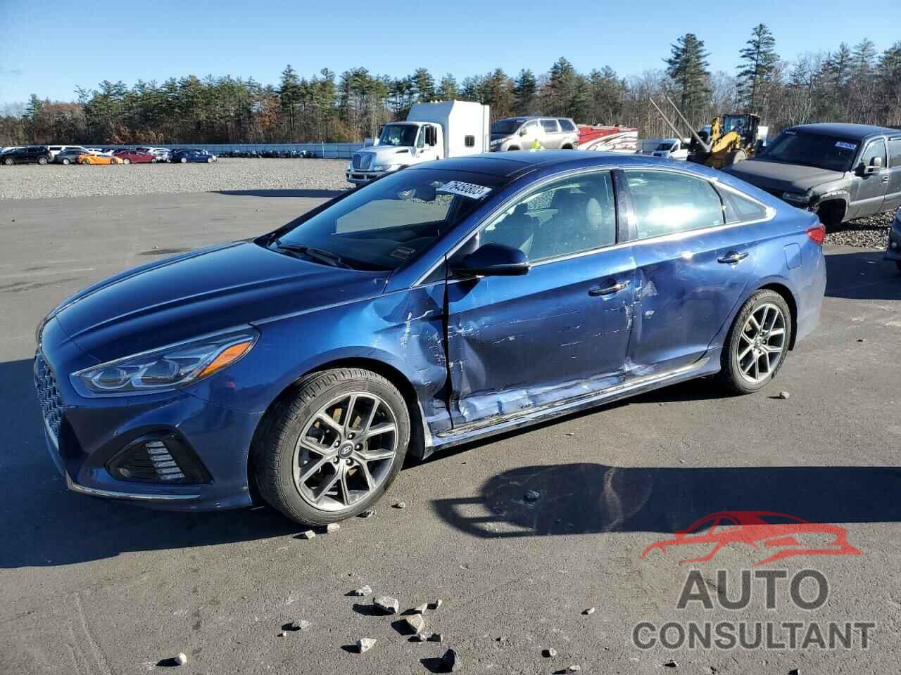 HYUNDAI SONATA 2019 - 5NPE34AB9KH806705