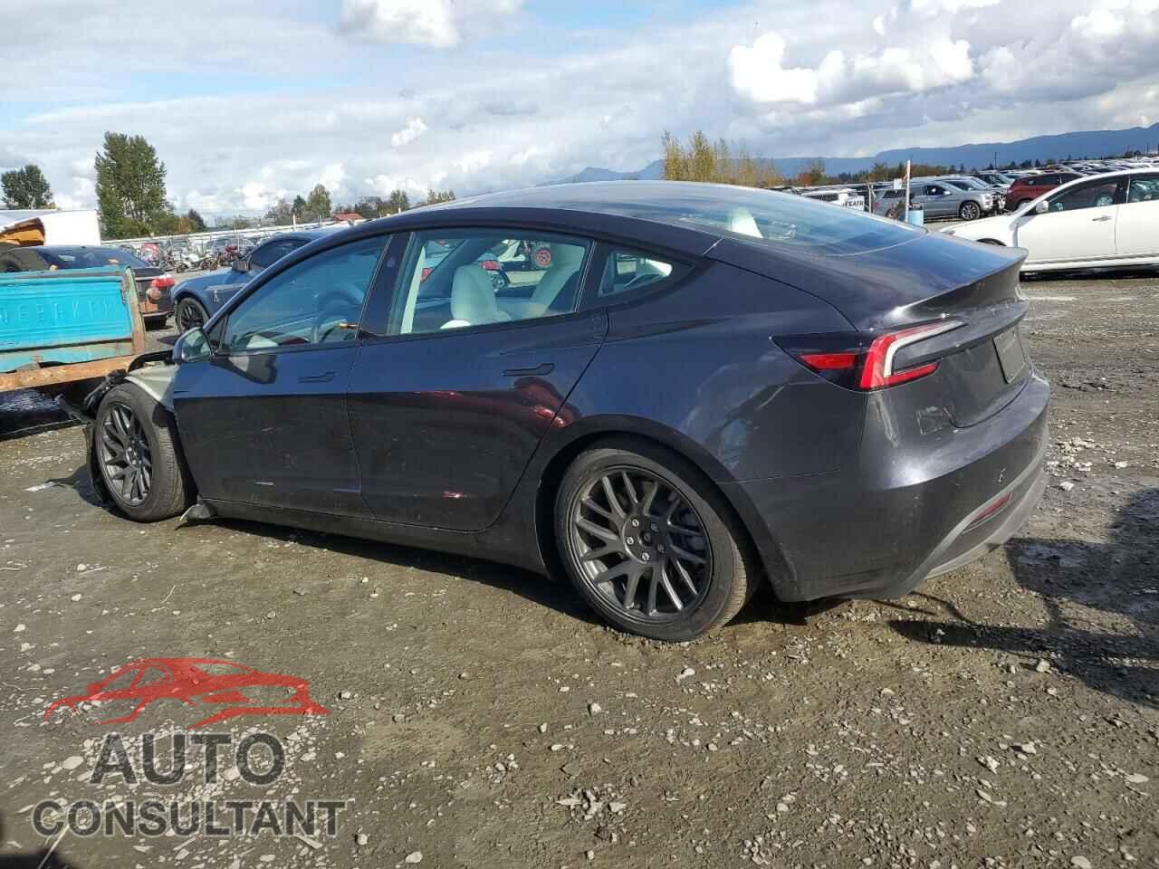 TESLA MODEL 3 2024 - 5YJ3E1EA8RF846123