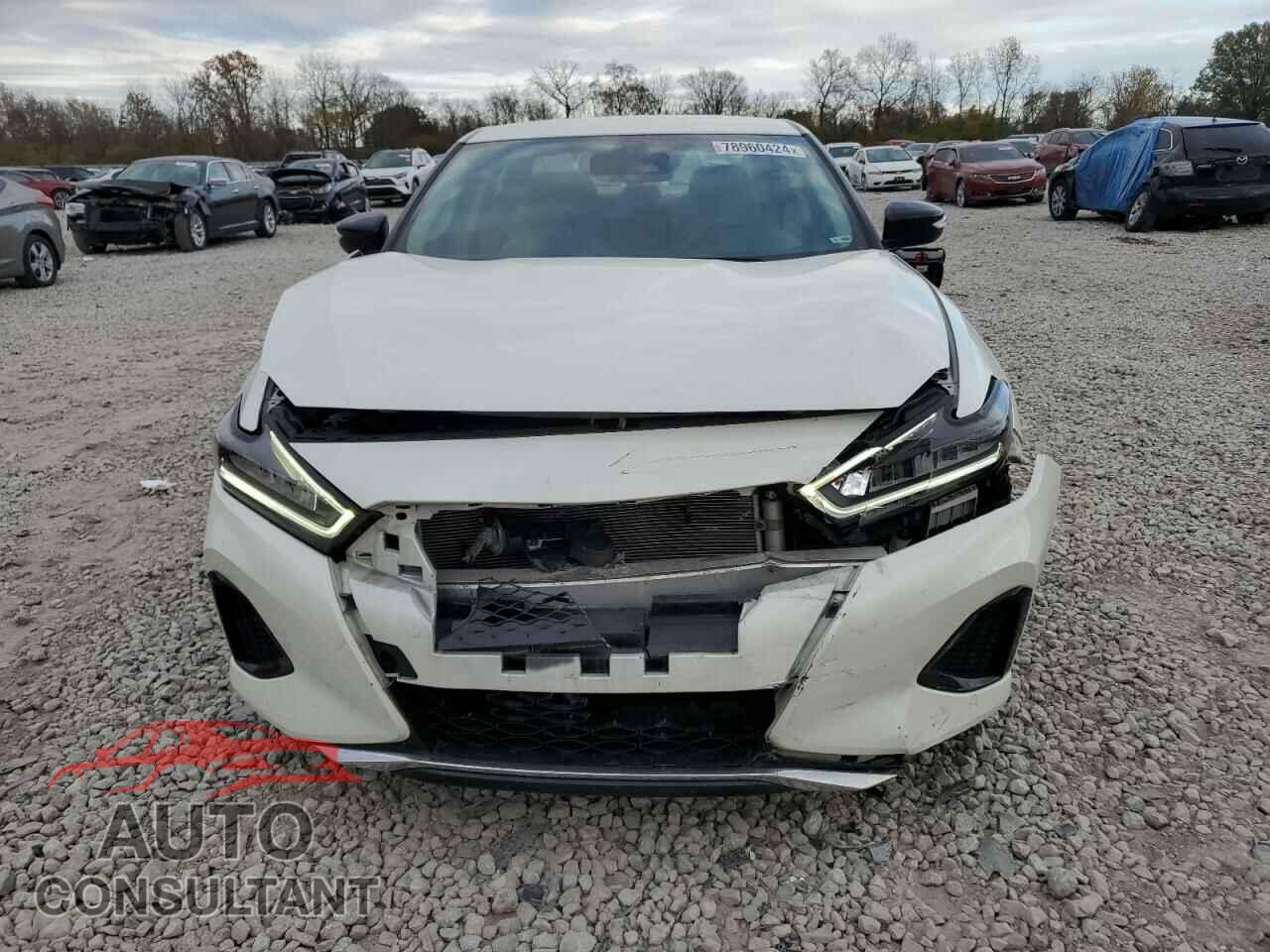 NISSAN MAXIMA 2023 - 1N4AA6CV2PC509372
