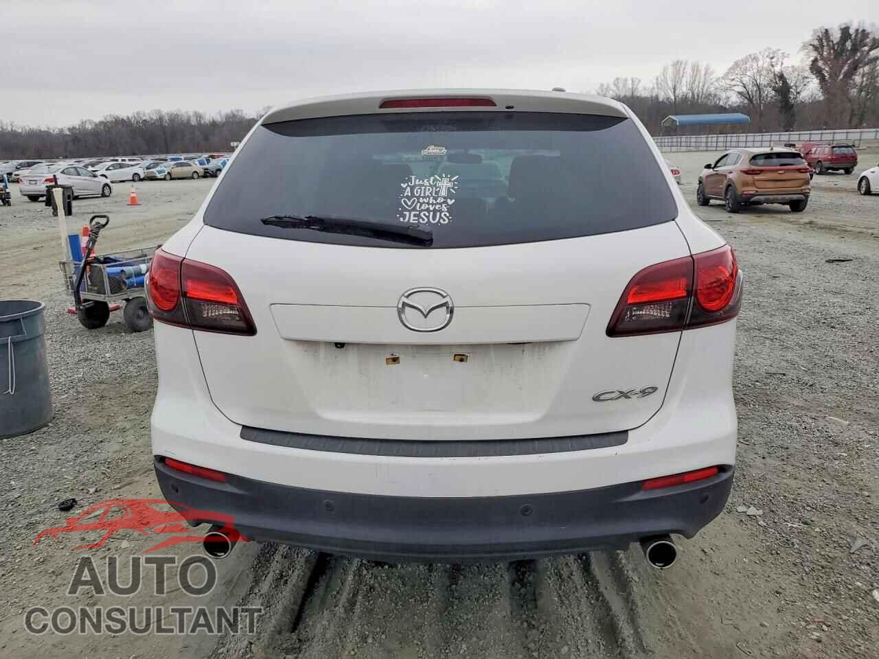 MAZDA CX-9 2014 - JM3TB2CV0E0443516