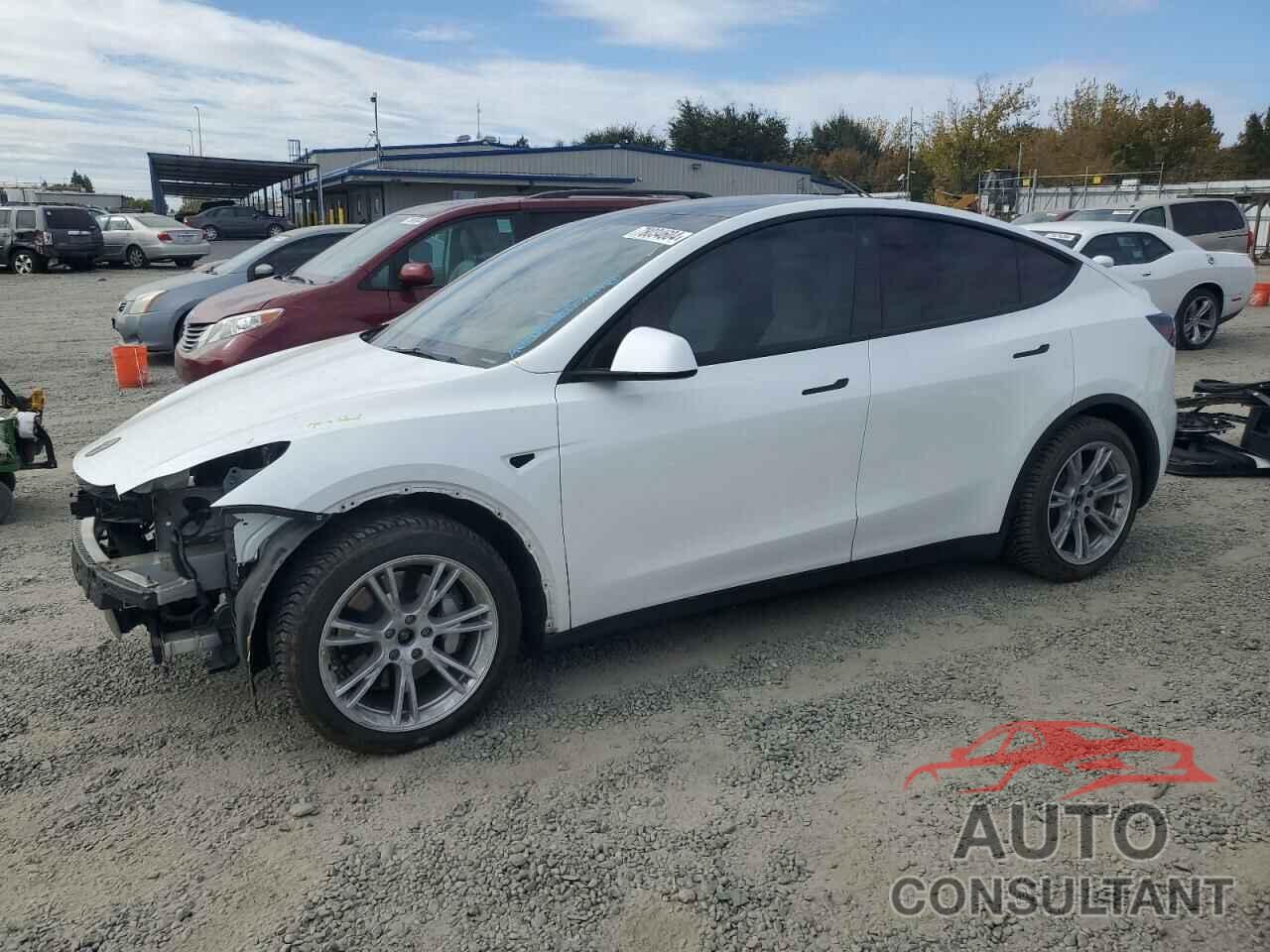 TESLA MODEL Y 2021 - 5YJYGDEE1MF206011