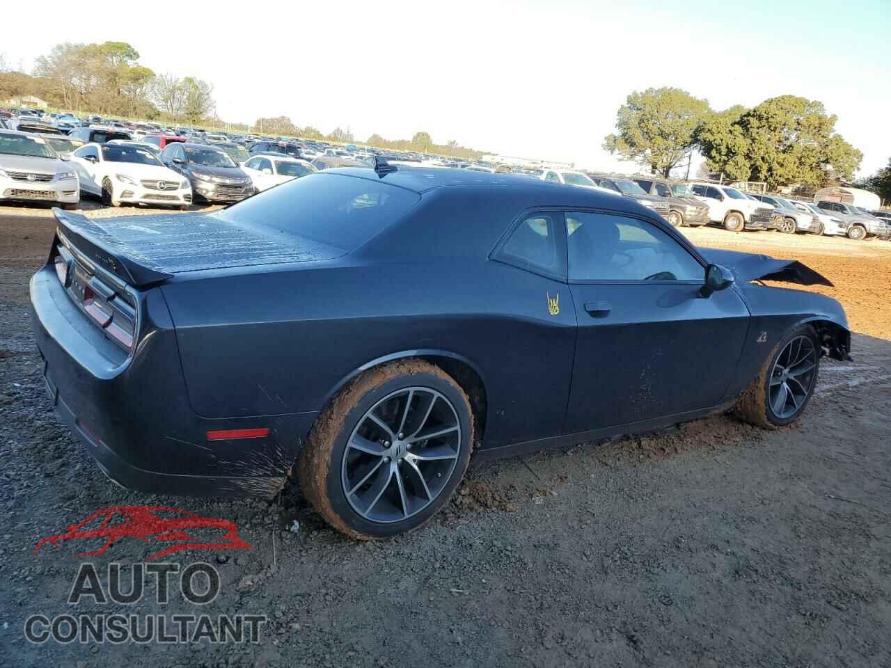 DODGE CHALLENGER 2017 - 2C3CDZFJ1HH502839