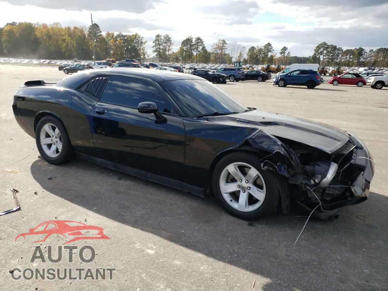DODGE CHALLENGER 2013 - 2C3CDYBTXDH705028