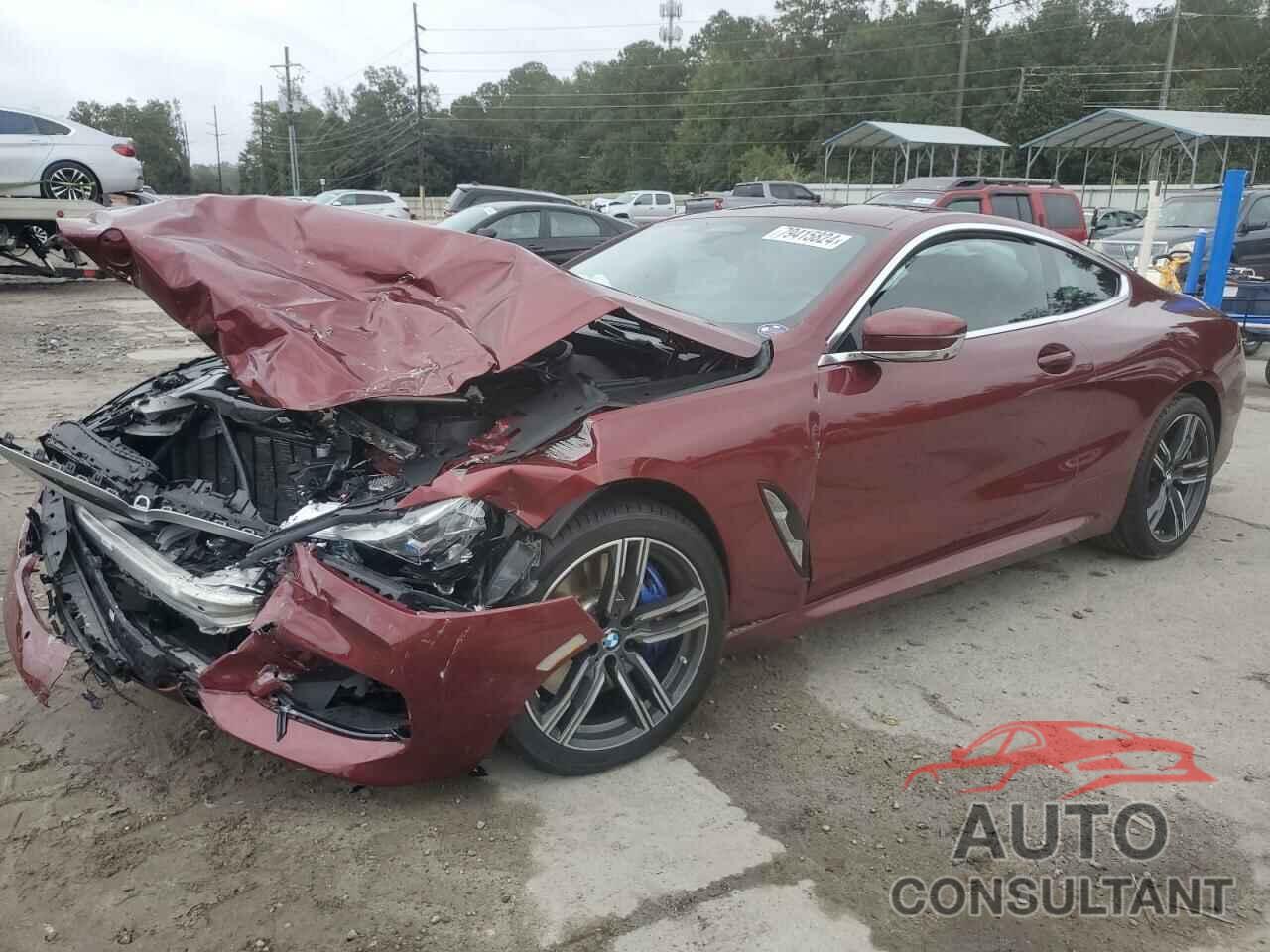 BMW 8 SERIES 2023 - WBAAE4C01PCL37744