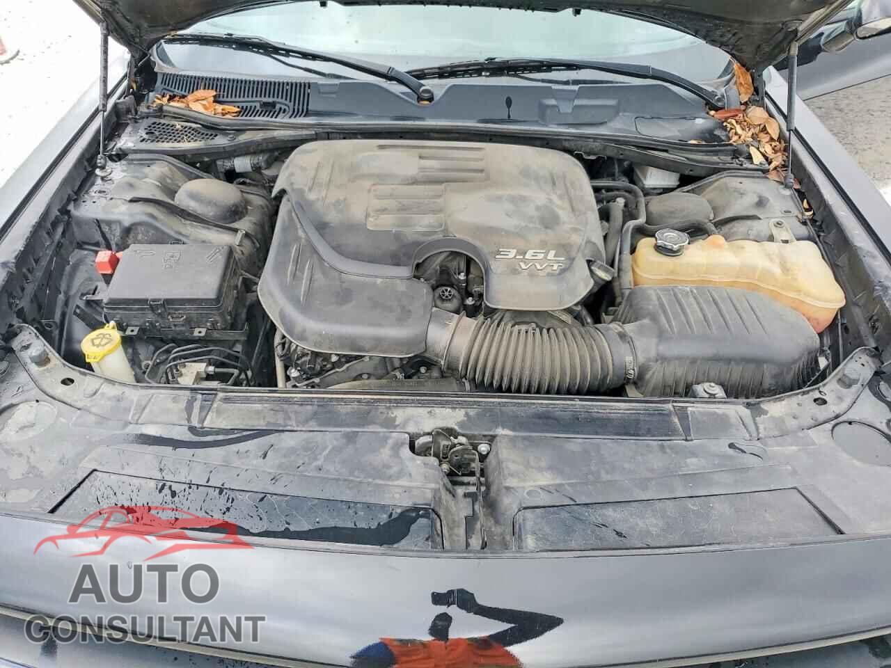 DODGE CHALLENGER 2019 - 2C3CDZAG4KH551455