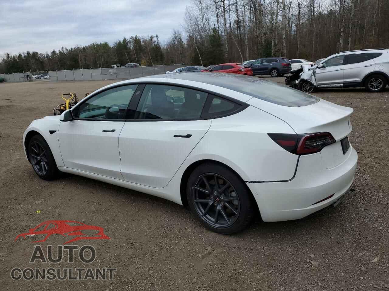 TESLA MODEL 3 2021 - 5YJ3E1EAXMF083899