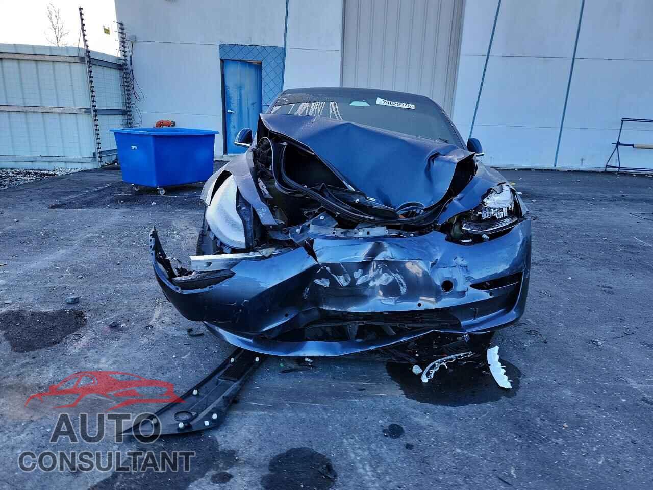 TESLA MODEL 3 2019 - 5YJ3E1EA5KF308095