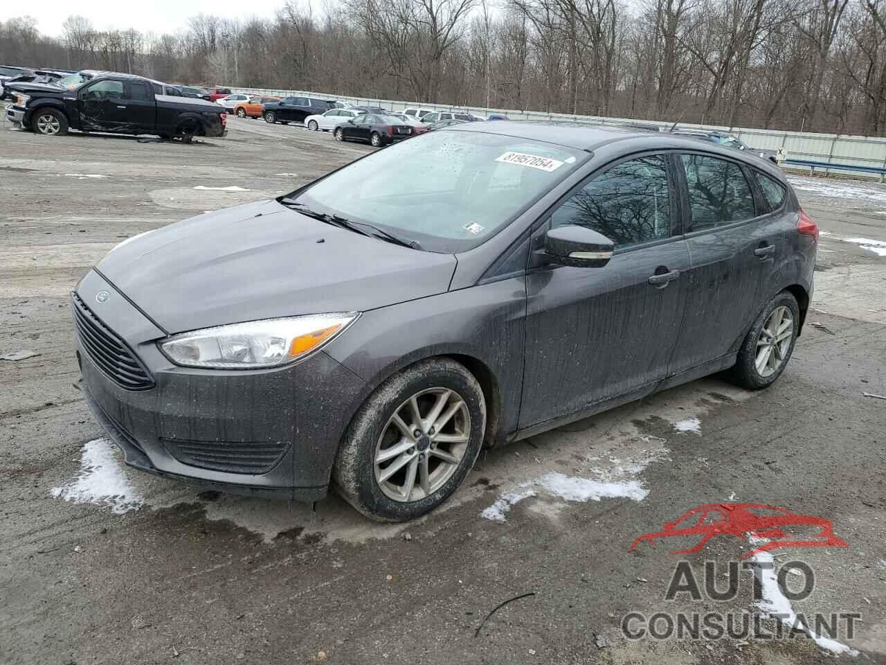 FORD FOCUS 2016 - 1FADP3K29GL224685