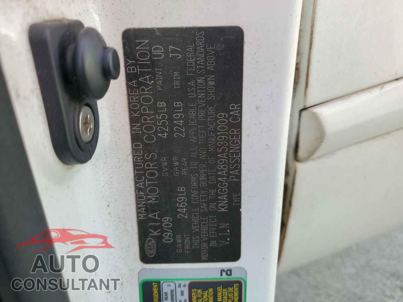 KIA OPTIMA 2010 - KNAGG4A89A5391009