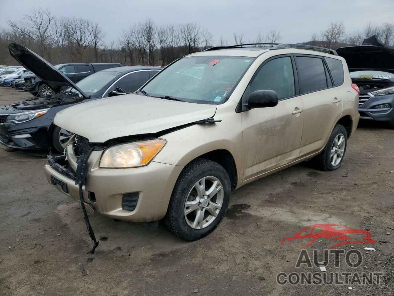 TOYOTA RAV4 2011 - 2T3BF4DV2BW122278