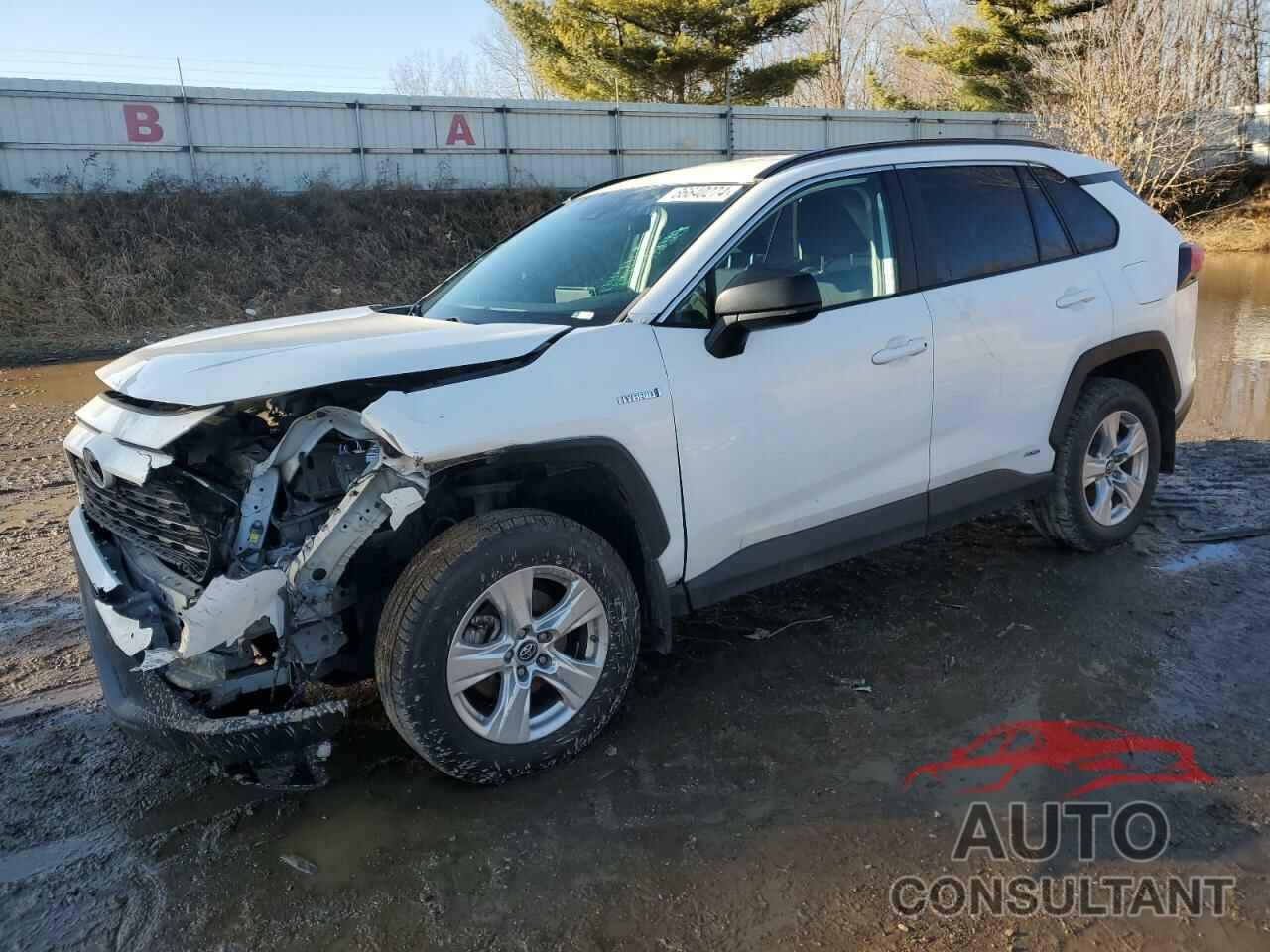 TOYOTA RAV4 2020 - 2T3LWRFVXLW064095