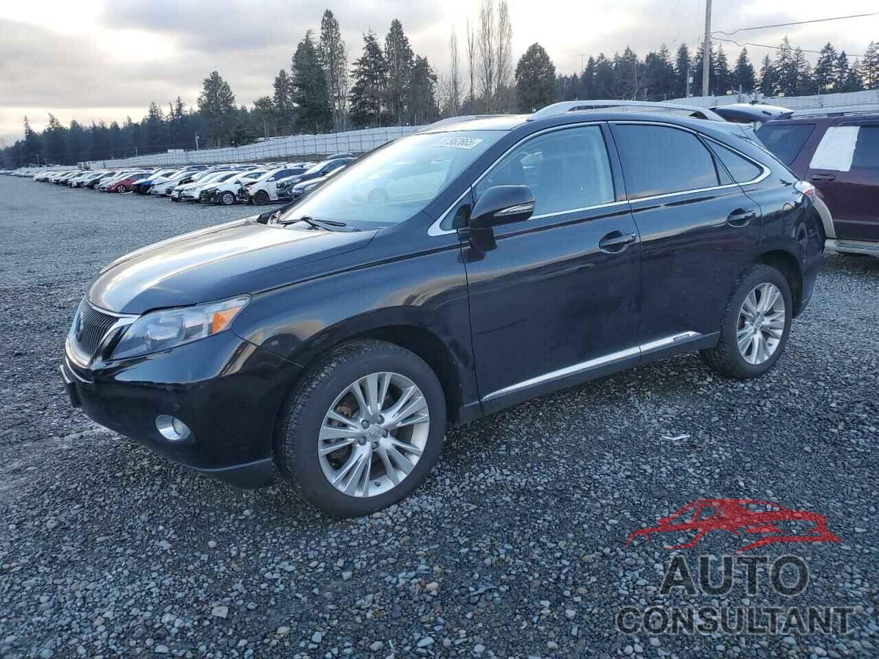 LEXUS RX450 2011 - JTJBC1BA0B2044905