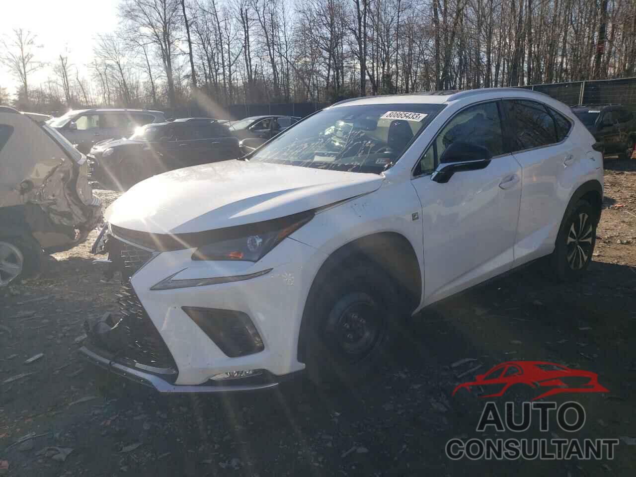 LEXUS NX 2019 - JTJBARBZ7K2193256