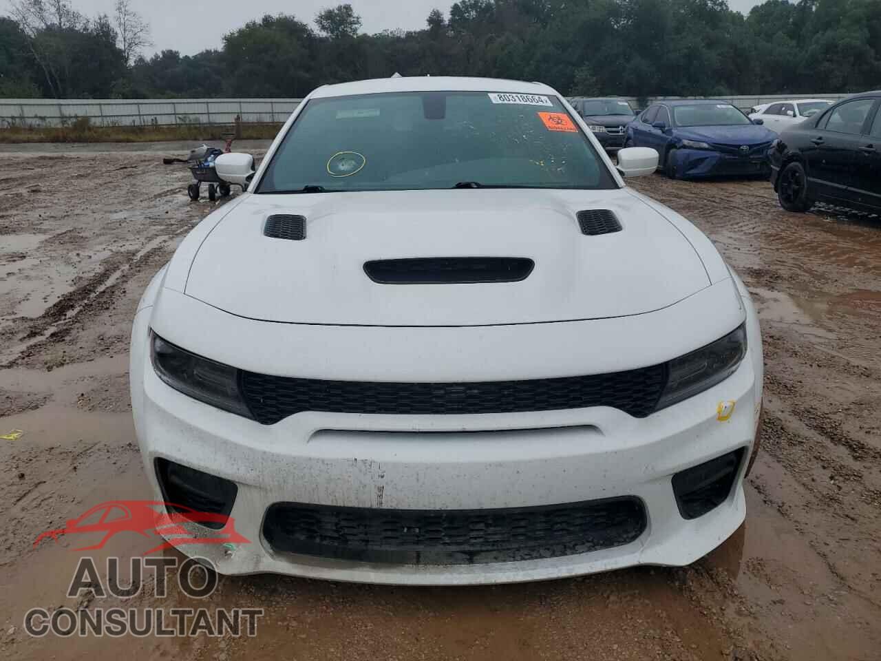 DODGE CHARGER 2021 - 2C3CDXL94MH672072