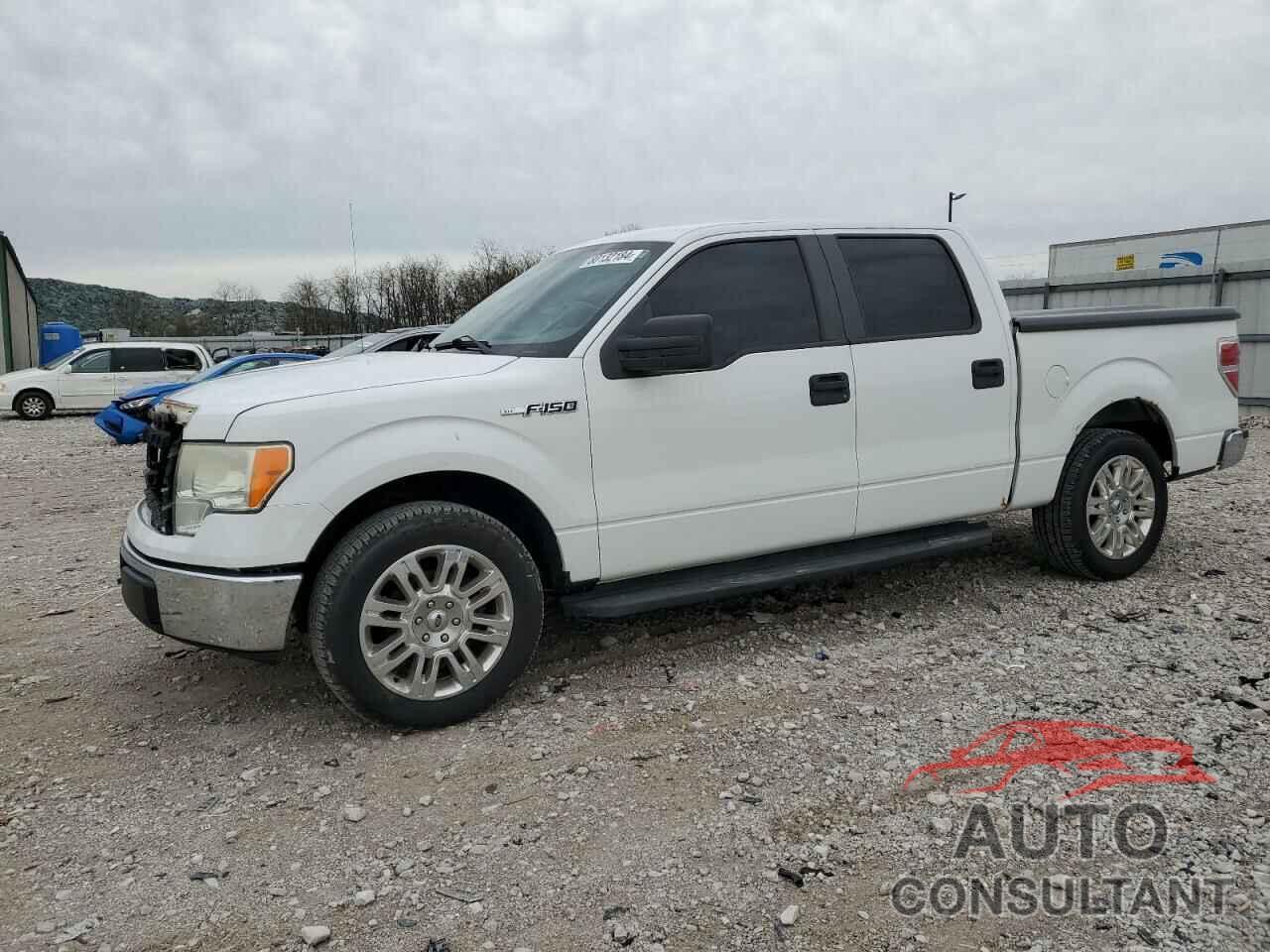 FORD F-150 2009 - 1FTRW12889KB12447