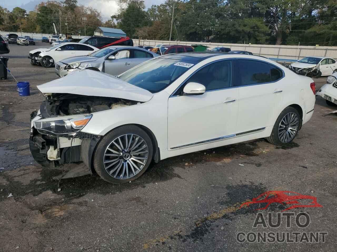 KIA CADENZA 2014 - KNALN4D76E5135293