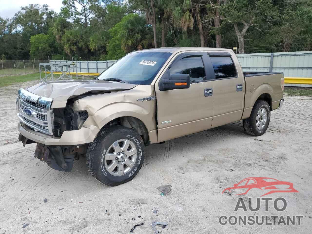 FORD F-150 2013 - 1FTFW1CT4DFD31218