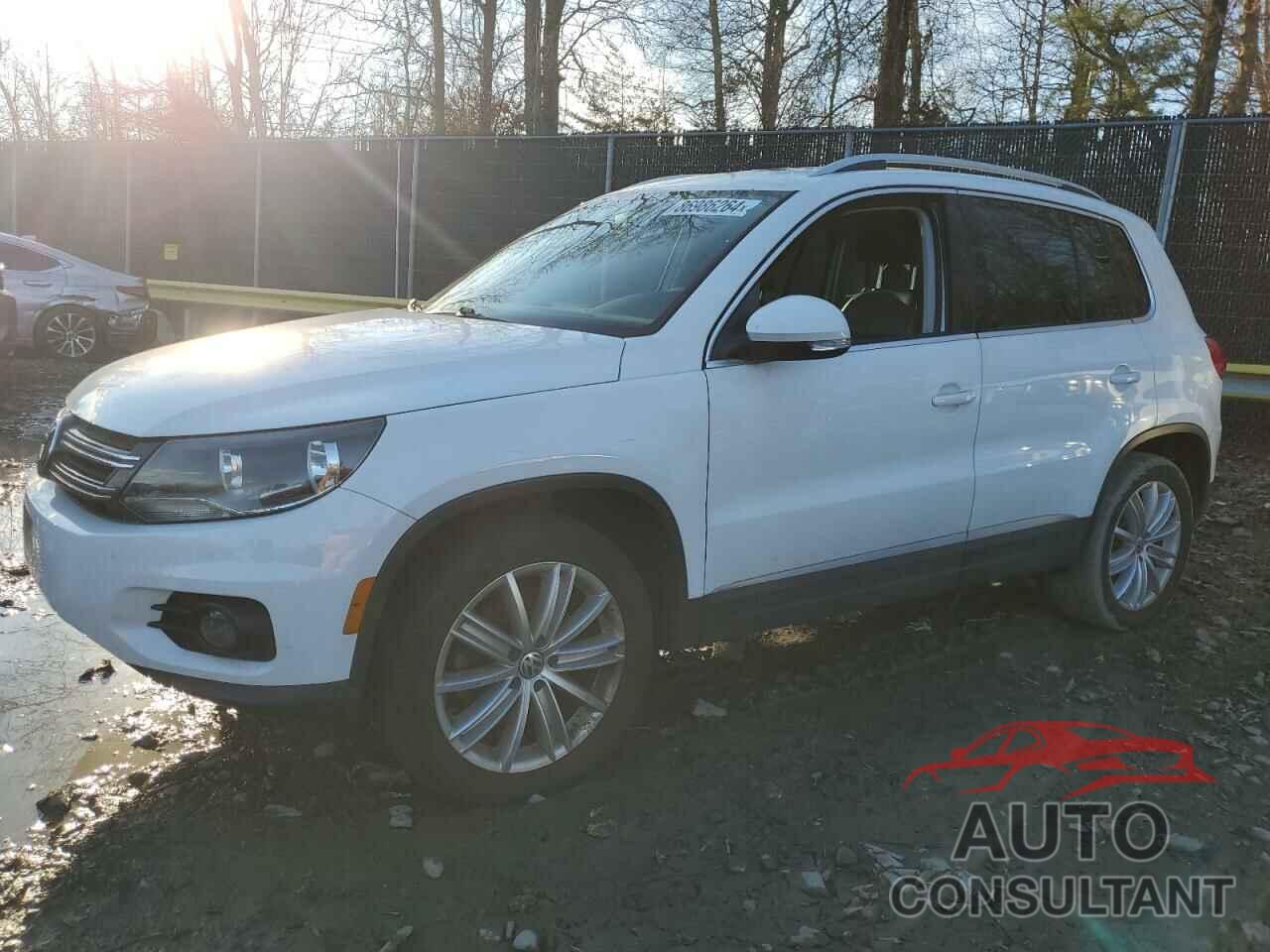 VOLKSWAGEN TIGUAN 2014 - WVGAV3AX8EW510874