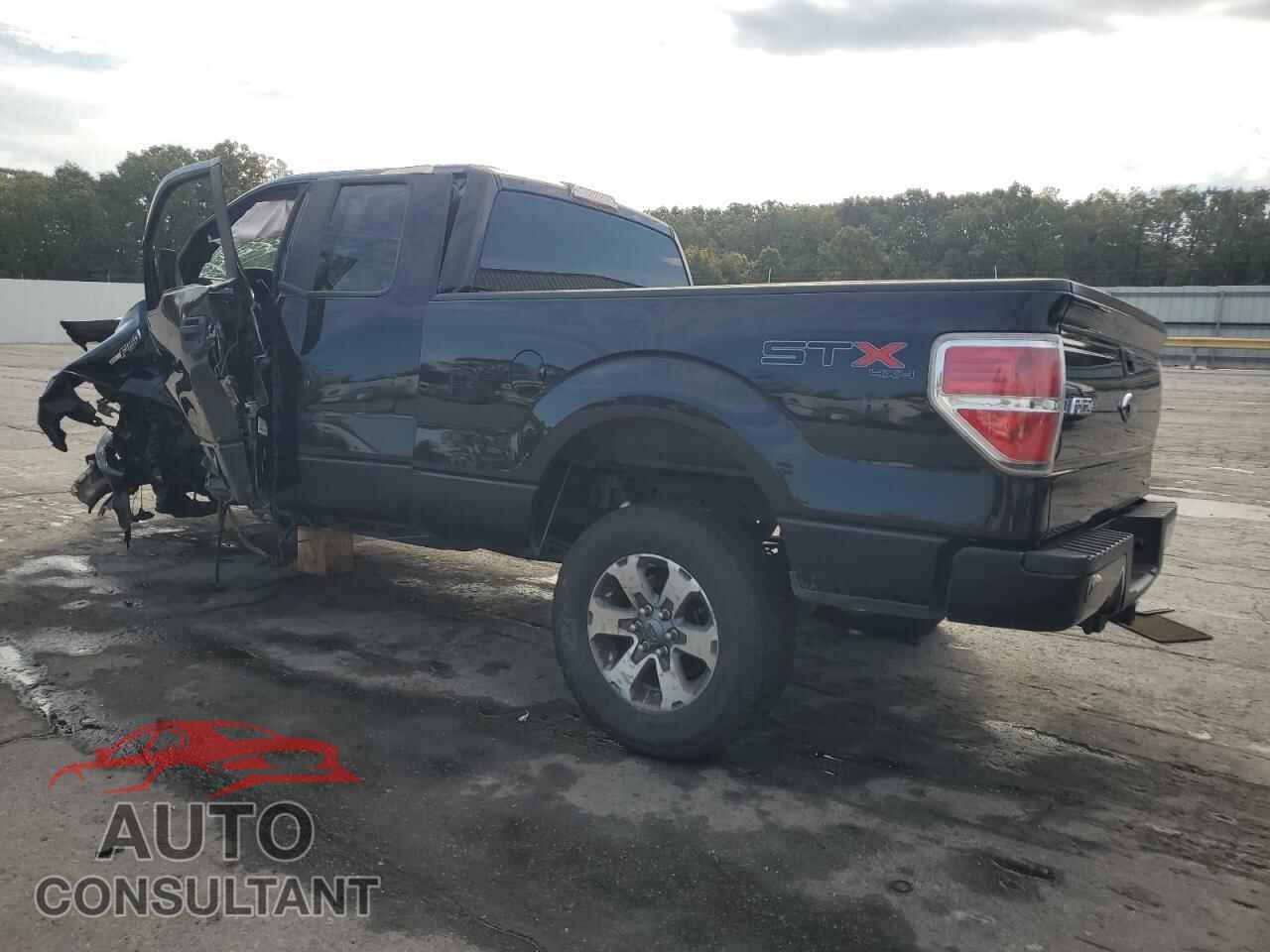 FORD F-150 2013 - 1FTFX1EF8DFC85123