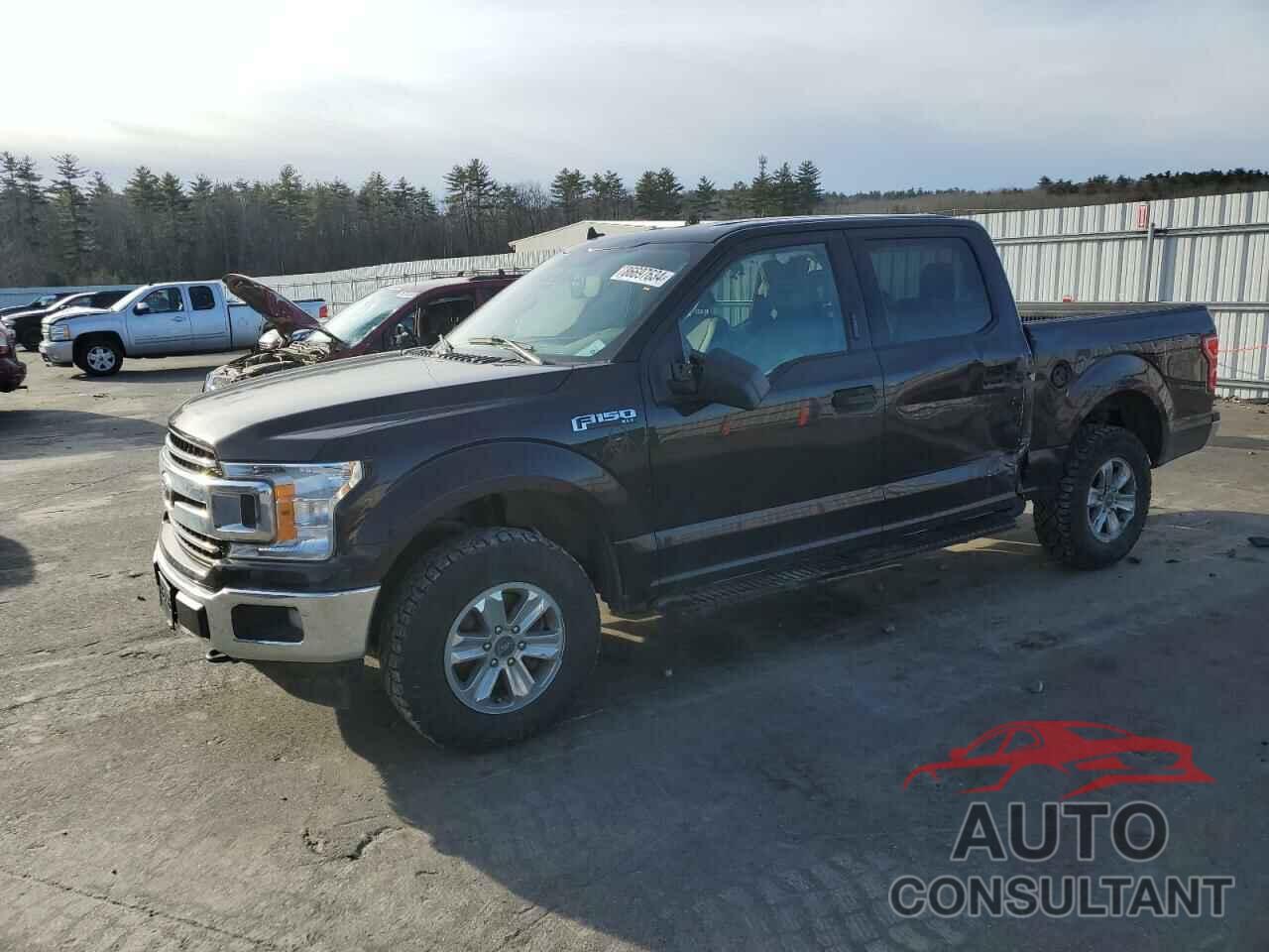 FORD F-150 2019 - 1FTEW1EP2KKC45373