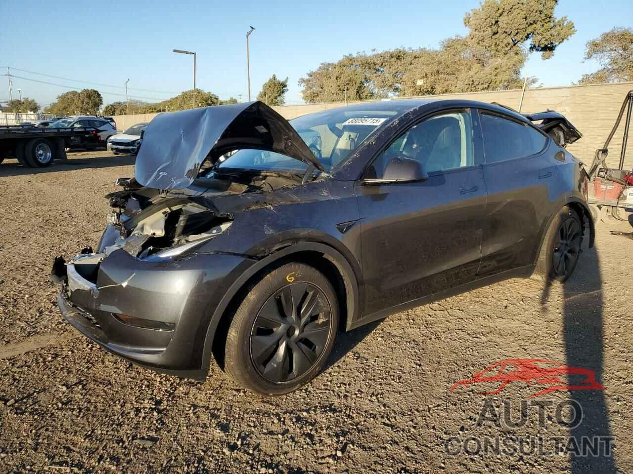TESLA MODEL Y 2024 - 7SAYGDED1RF179118