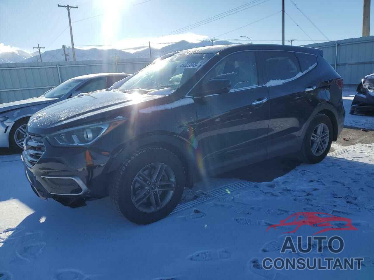 HYUNDAI SANTA FE 2017 - 5NMZTDLB9HH020830