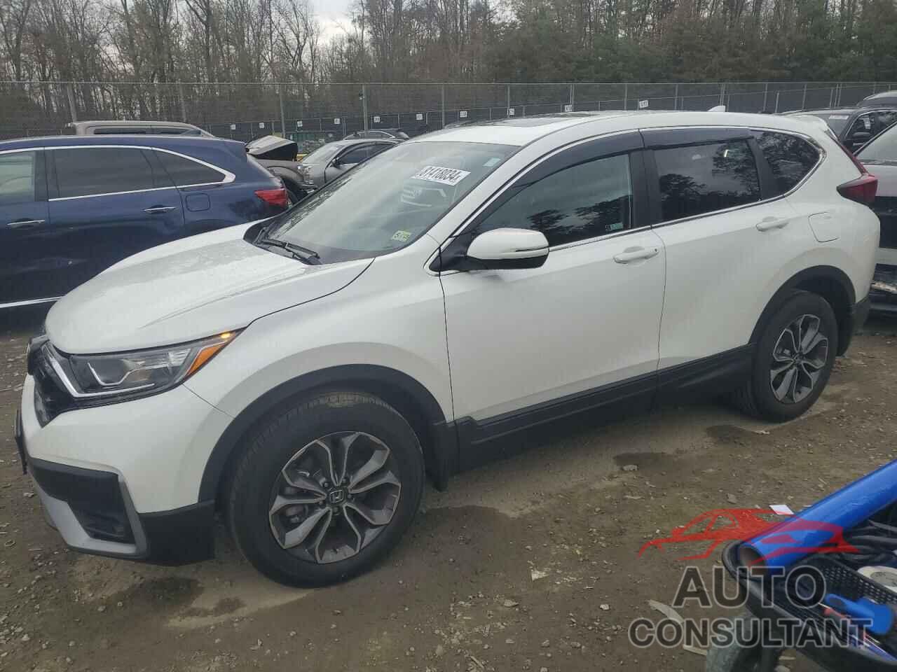 HONDA CRV 2022 - 2HKRW2H81NH649652