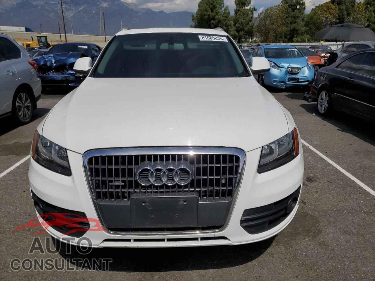 AUDI Q5 2011 - WA1CFAFP9BA046584