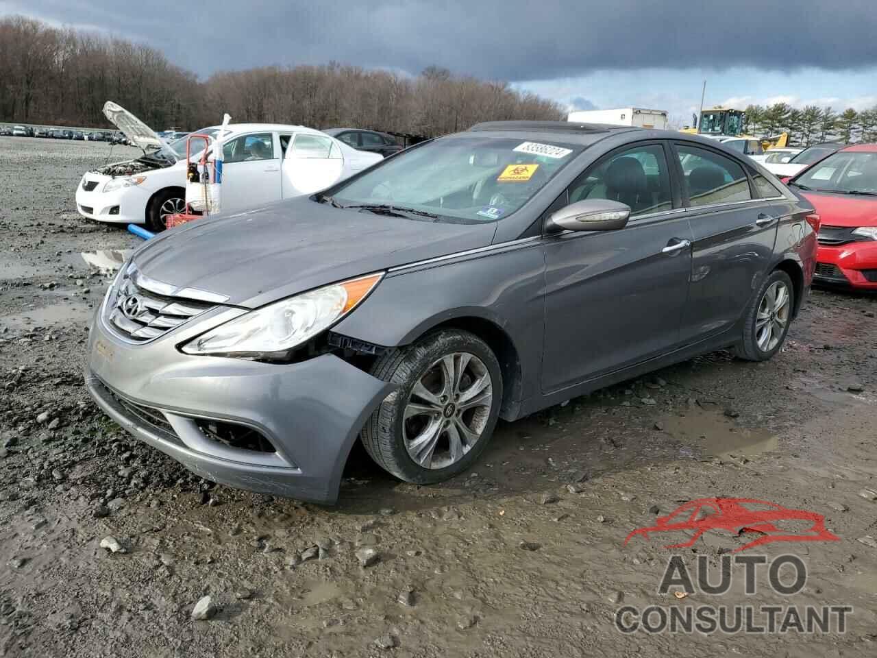 HYUNDAI SONATA 2011 - 5NPEC4AC1BH301427