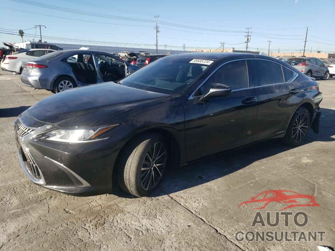 LEXUS ES300 2022 - 58ADA1C18NU024057