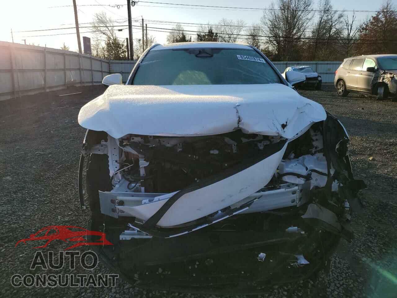 LEXUS RX 350H BA 2024 - 2T2BBMCA9RC053793