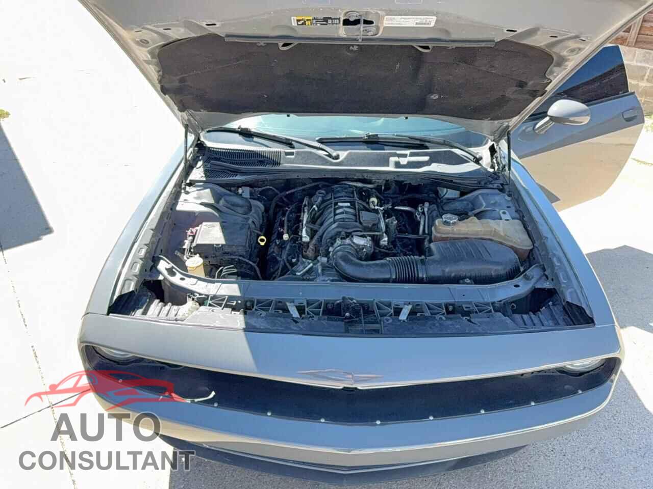 DODGE CHALLENGER 2019 - 2C3CDZBT0KH557099