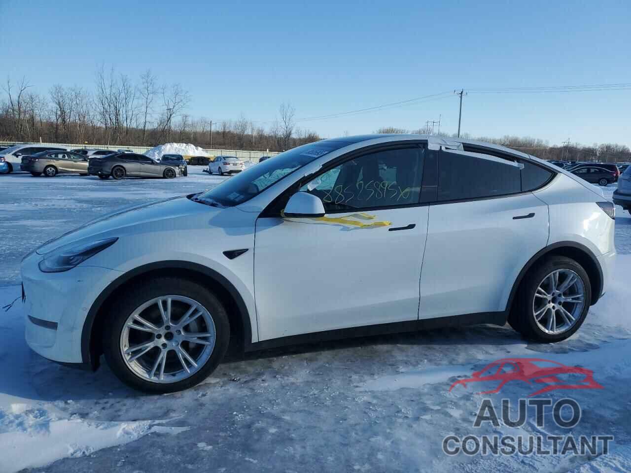 TESLA MODEL Y 2021 - 5YJYGDEE7MF069530