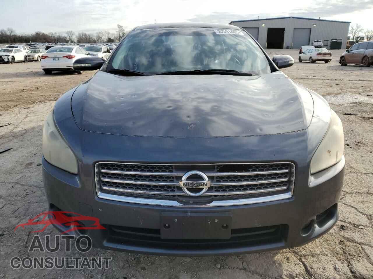 NISSAN MAXIMA 2009 - 1N4AA51E89C837489