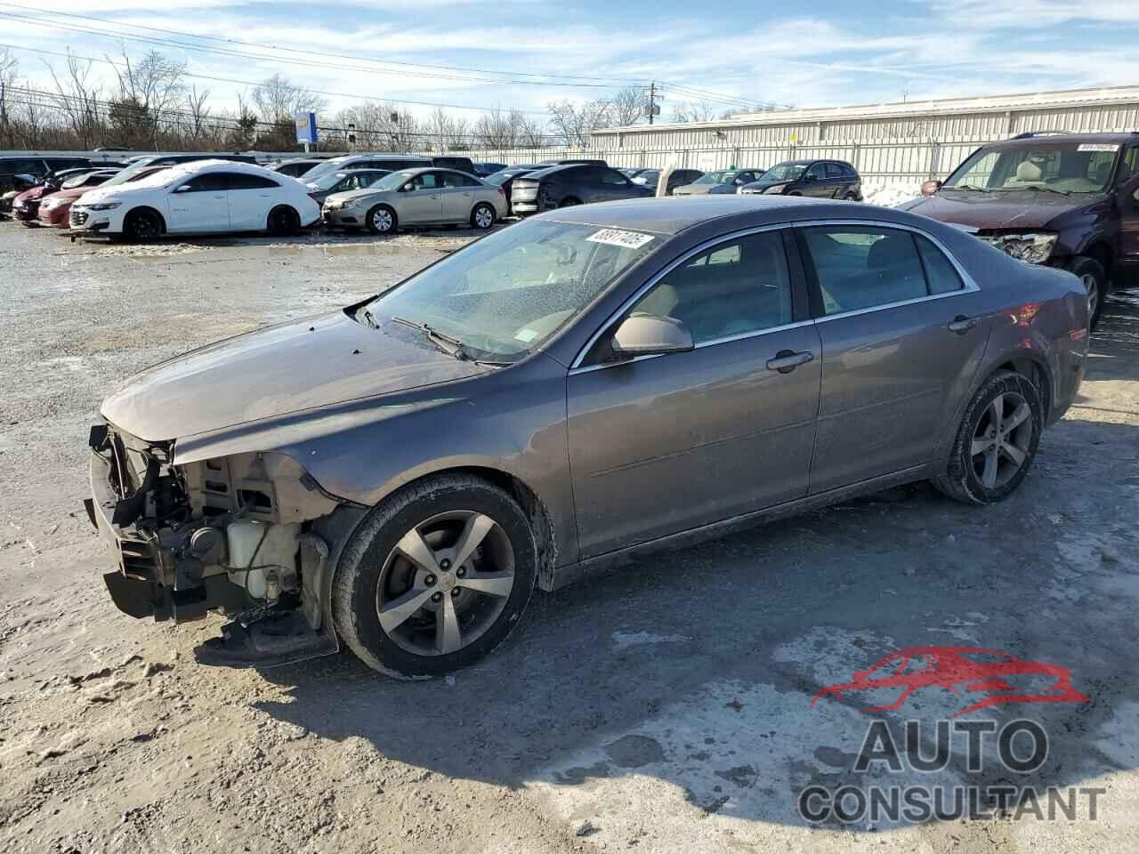 CHEVROLET MALIBU 2011 - 1G1ZC5E14BF358126