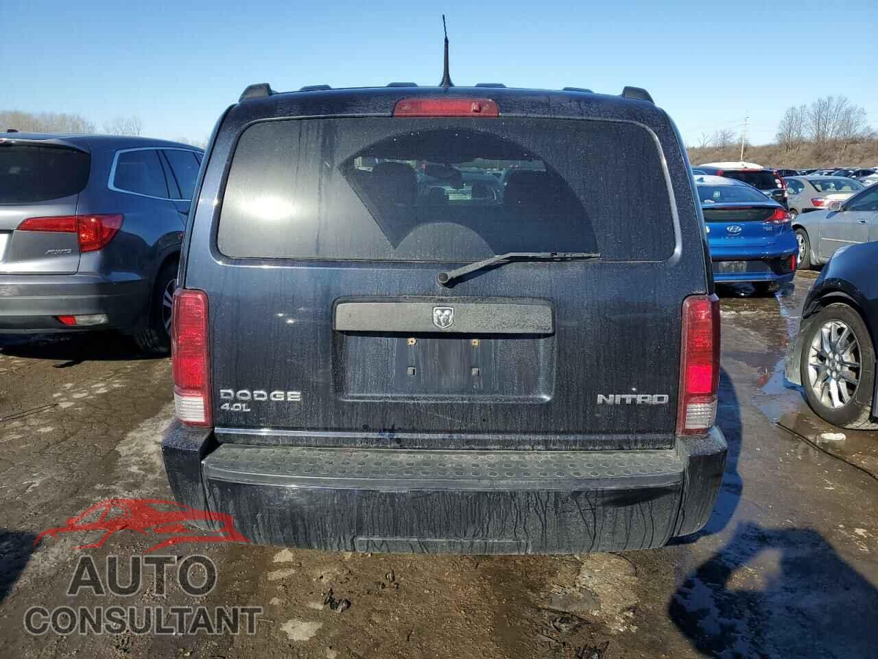DODGE NITRO 2011 - 1D4PU4GX7BW539828