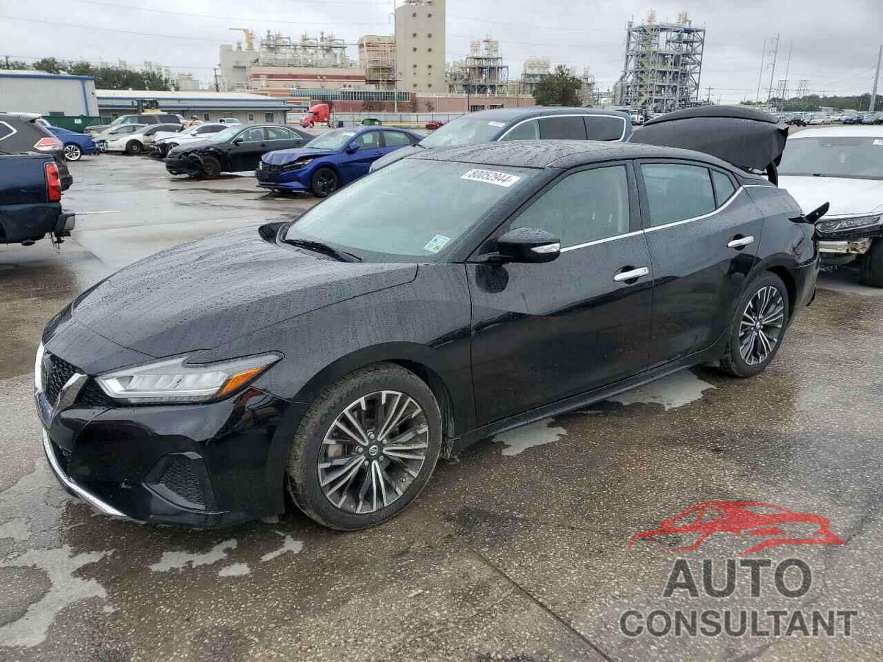 NISSAN MAXIMA 2019 - 1N4AA6AV5KC360953